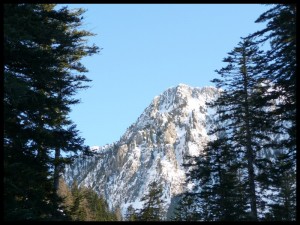 P1020318